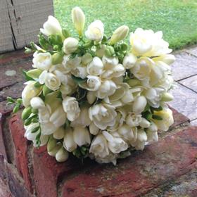 fwthumbHM june wedding 8 .jpg